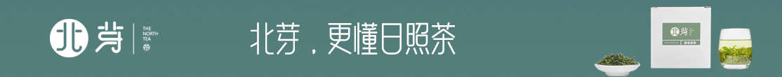 日照绿茶网